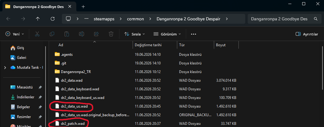 Danganronpa 2 oyun klasöründeki dr2_data_us.wad ve dr2_patch.wad dosyaları
